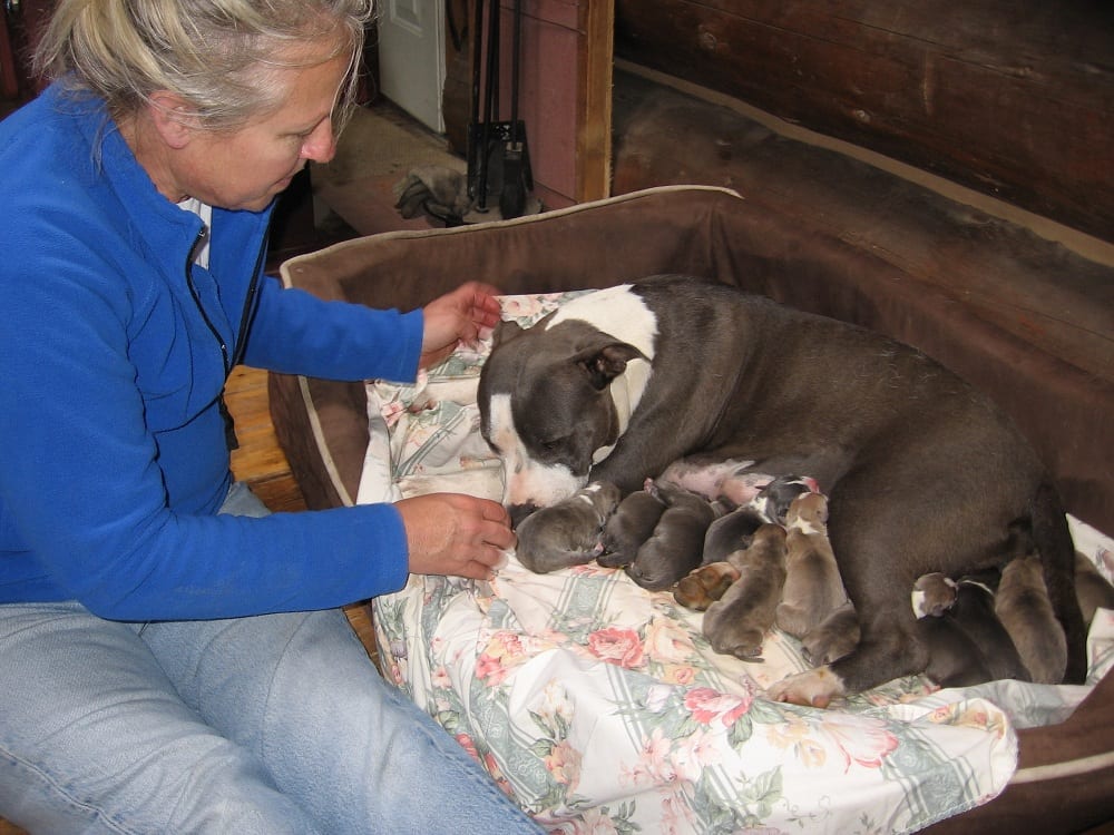 Kai'a's first litter