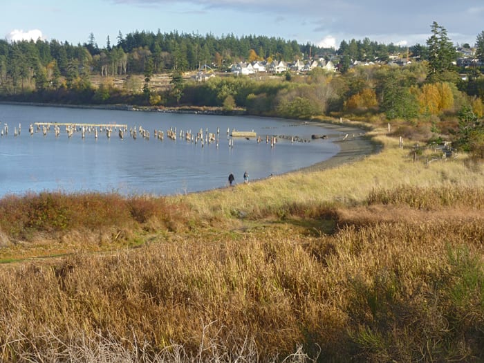 Beach and marsh at the Anacortes ferry landing