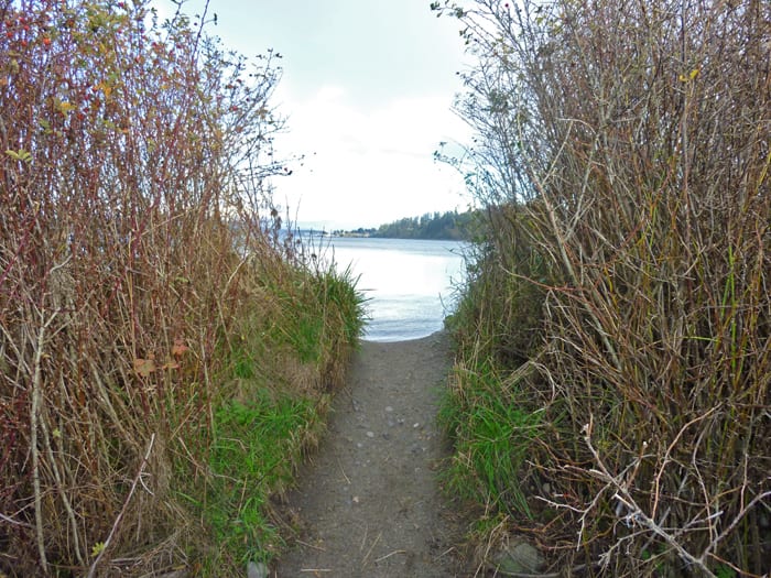 Trail to beach at Anacortes Ferry Landing