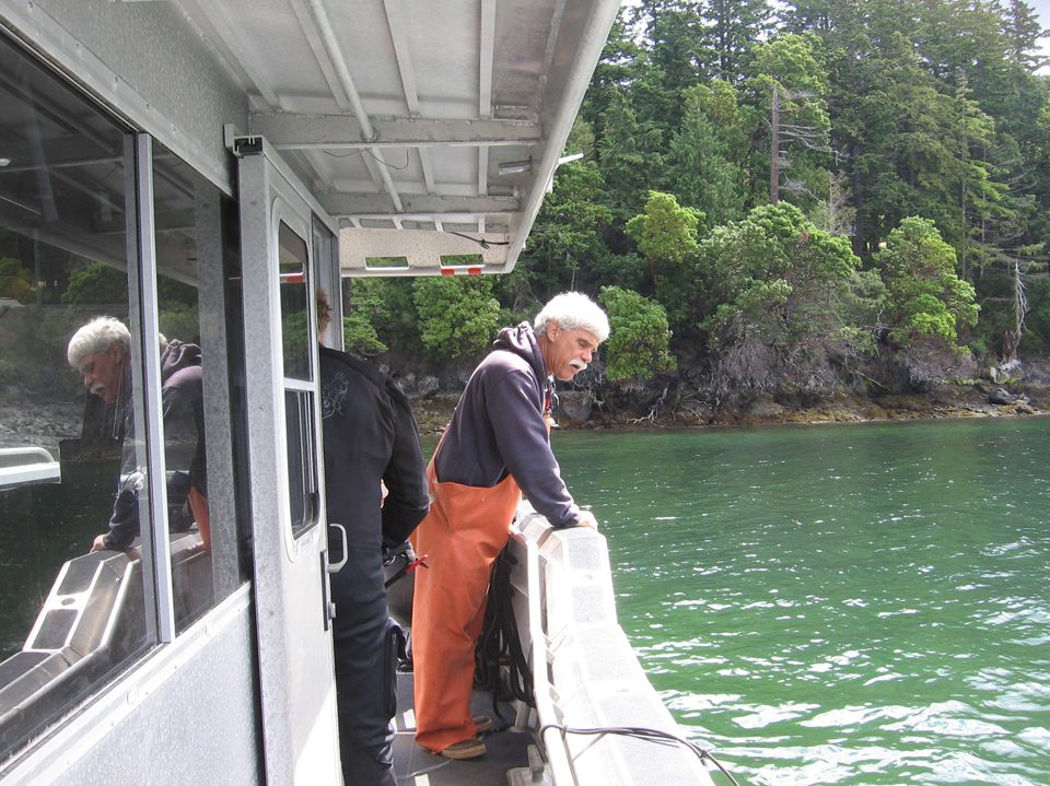Eelgrass survey on Orcas Island