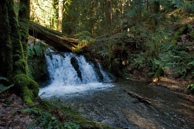 Cascade Falls - Moran Park, Orcas Island