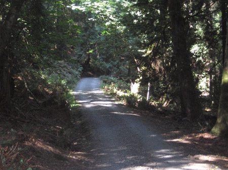 county road on stuart island